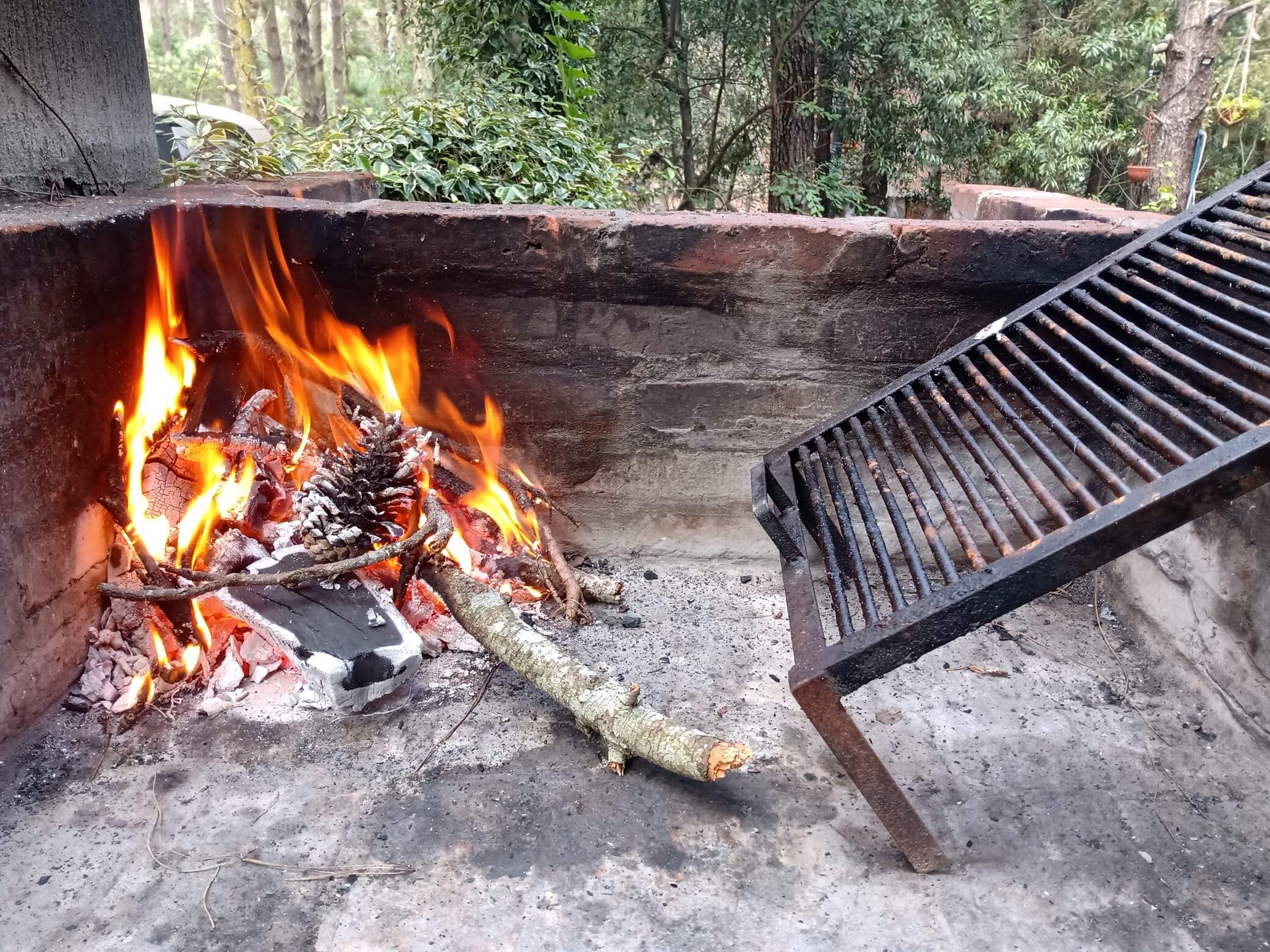 parrilla